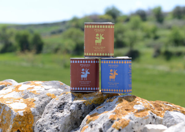  Pegaso EVOO Sicilian olive oil tin as a party favor — Italian bomboniere tradition with extra virgin olive oil