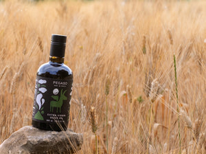 Golden wheat in Sicily and a bottle of Pegaso EVOO 